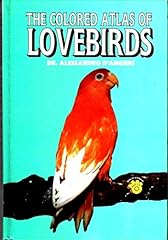 Colored atlas lovebirds for sale  Delivered anywhere in USA 