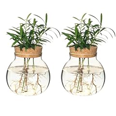 Plant propagation station for sale  Delivered anywhere in USA 