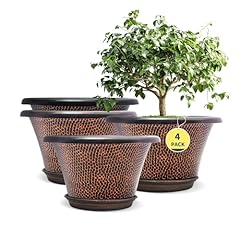 Quarut inch pots for sale  Delivered anywhere in USA 