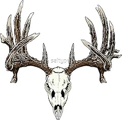 Whitetail deer skull for sale  Delivered anywhere in USA 