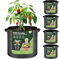 T4u gallon plant for sale  Delivered anywhere in UK