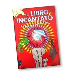 Libro incantato grande usato  Spedito ovunque in Italia 