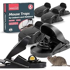 6pk mouse traps for sale  Delivered anywhere in Ireland