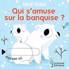 Amuse banquise d'occasion  Livré partout en Belgiqu