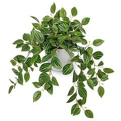 Briful artificial plants for sale  Delivered anywhere in USA 