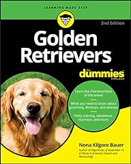 Golden retrievers dummies for sale  Delivered anywhere in UK