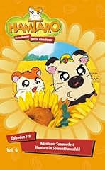 Hamtaro kleine hamster gebraucht kaufen  Wird an jeden Ort in Deutschland