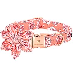 Lionheart glory valentine for sale  Delivered anywhere in USA 