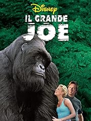 Grande joe usato  Spedito ovunque in Italia 