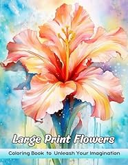Large print flowers for sale  Delivered anywhere in USA 