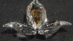 Swarovski scs african usato  Spedito ovunque in Italia 