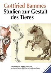 Studien zur gestalt gebraucht kaufen  Wird an jeden Ort in Deutschland