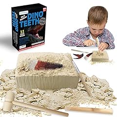 Artcreativity dino teeth for sale  Delivered anywhere in USA 