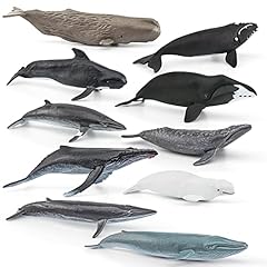Ocean sea marine for sale  Delivered anywhere in USA 