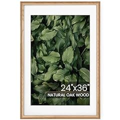 Acovy 24x36 frame for sale  Delivered anywhere in USA 