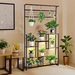 Chphi plant stand for sale  Delivered anywhere in USA 