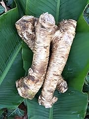 Lb. horseradish root. for sale  Delivered anywhere in USA 