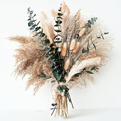 Green pampas grass for sale  Delivered anywhere in USA 