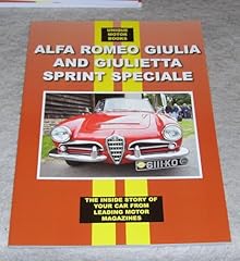 Alfa romeo giulia usato  Spedito ovunque in Italia 