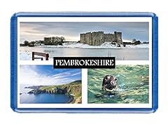 Pembrokeshire postcard style for sale  Delivered anywhere in UK