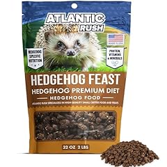 Atlantic rush hedgehog for sale  Delivered anywhere in USA 