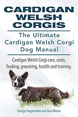 Cardigan welsh corgis. for sale  Delivered anywhere in UK