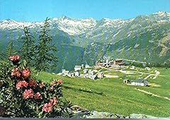 Cartolina alpe motta usato  Spedito ovunque in Italia 