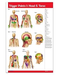 Trigger points chart for sale  Delivered anywhere in USA 