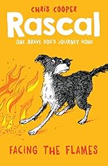 Rascal facing flames for sale  Delivered anywhere in UK