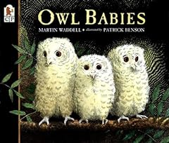 Owl babies for sale  Delivered anywhere in USA 