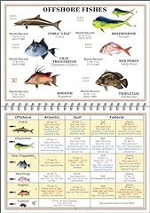 Florida saltwater fish for sale  Delivered anywhere in USA 