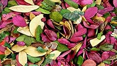 Naturally dried colourful for sale  Delivered anywhere in UK
