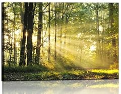 Nature canvas wall for sale  Delivered anywhere in USA 