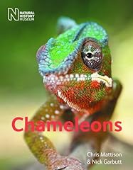 Chameleons for sale  Delivered anywhere in UK