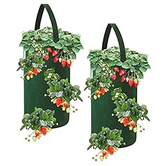 Faluckyy strawberry planter for sale  Delivered anywhere in UK