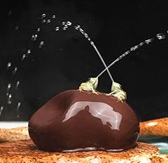 Eatingbiting frog stone for sale  Delivered anywhere in UK