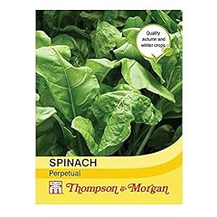 Thompson morgan vegetable for sale  Delivered anywhere in UK