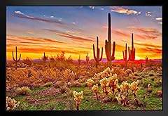 Colorful desert sunset for sale  Delivered anywhere in USA 