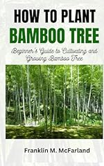 Plant bamboo tree for sale  Delivered anywhere in USA 