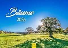 Edition seidel calendario usato  Spedito ovunque in Italia 