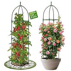 Mqhuayu support plante d'occasion  Livré partout en France