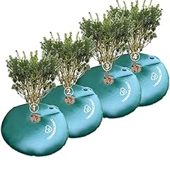 Pack tree watering for sale  Delivered anywhere in USA 