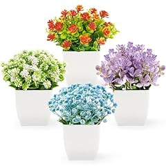 Der rose pack for sale  Delivered anywhere in USA 