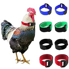 Tkocisa pack crow for sale  Delivered anywhere in USA 