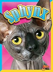 Sphynx d'occasion  Livré partout en France