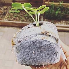 Groezy coco grow for sale  Delivered anywhere in USA 