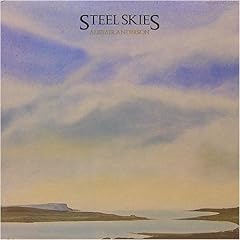 Steel skies for sale  Delivered anywhere in USA 