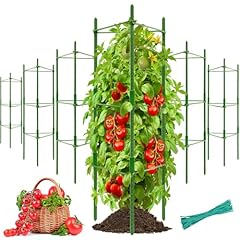 Halatool pack tomato for sale  Delivered anywhere in USA 