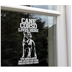 Cane corso lives for sale  Delivered anywhere in UK