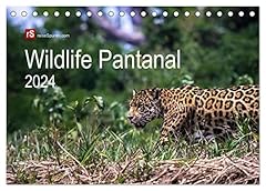 Wildlife pantanal 2024 gebraucht kaufen  Wird an jeden Ort in Deutschland